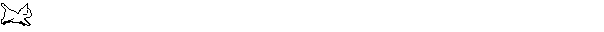 Gif of a small white cat running across the screen
